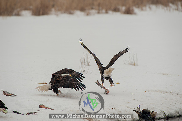 FarmingtonBay-5169