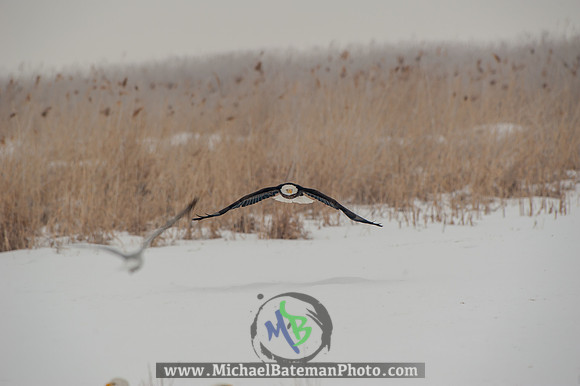 FarmingtonBay-5196