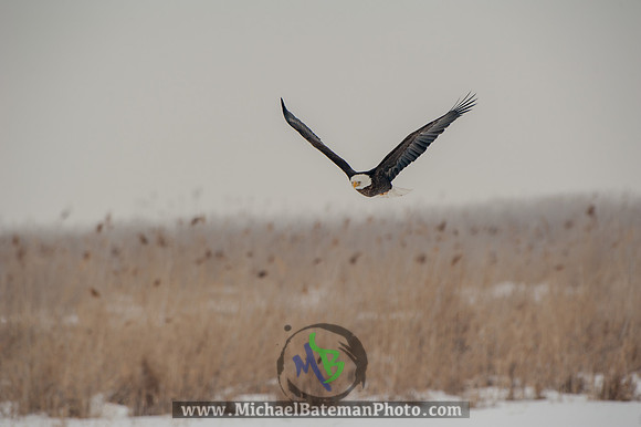FarmingtonBay-5198
