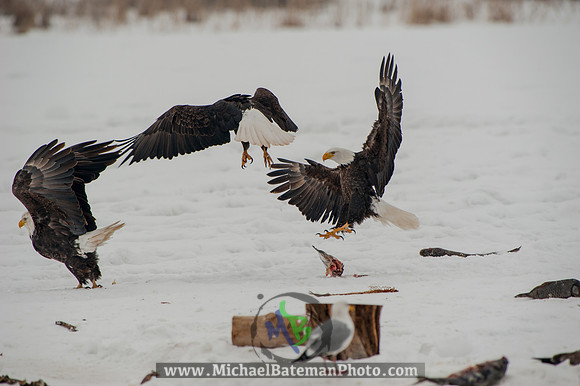 FarmingtonBay-5207