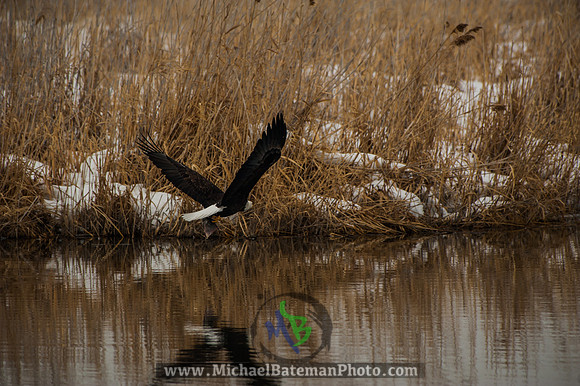 FarmingtonBay-5443