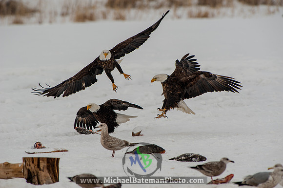 FarmingtonBay-5474