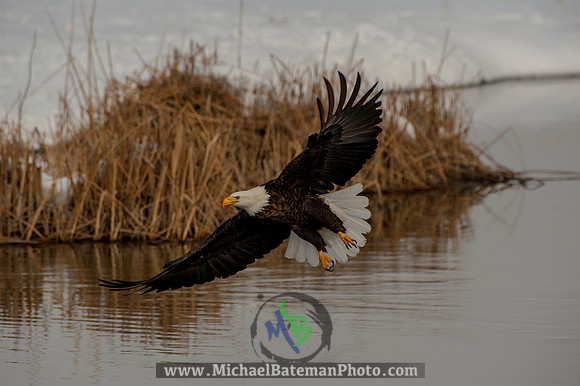 FarmingtonBay-5568