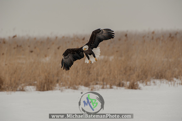 FarmingtonBay-5696