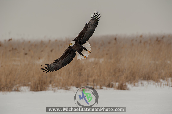 FarmingtonBay-5697