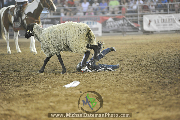 _MAB0399WJStampede_07_04_2012_814_