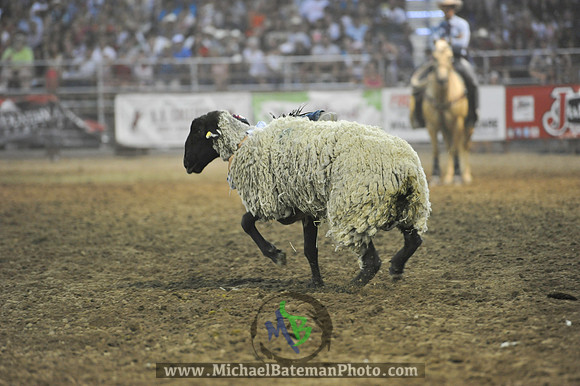 _MAB0396WJStampede_07_04_2012_811_