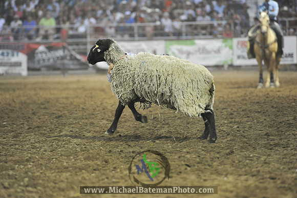 _MAB0397WJStampede_07_04_2012_812_
