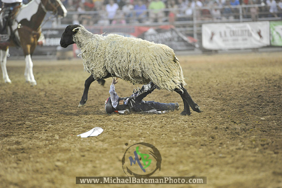 _MAB0398WJStampede_07_04_2012_813_