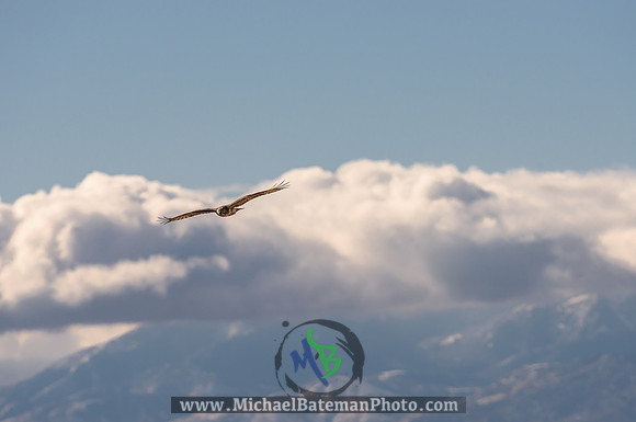 OgdenBay_122620 (20 of 252)