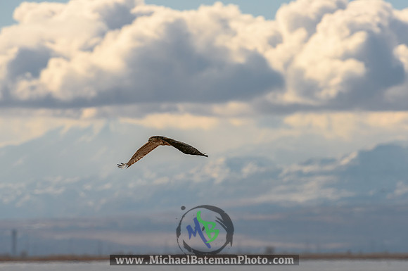 OgdenBay_122620 (23 of 252)