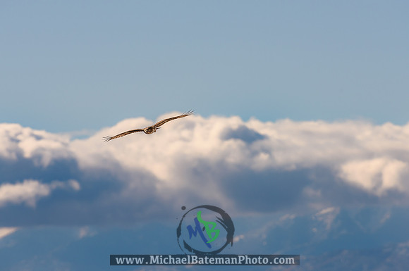 OgdenBay_122620 (19 of 252)