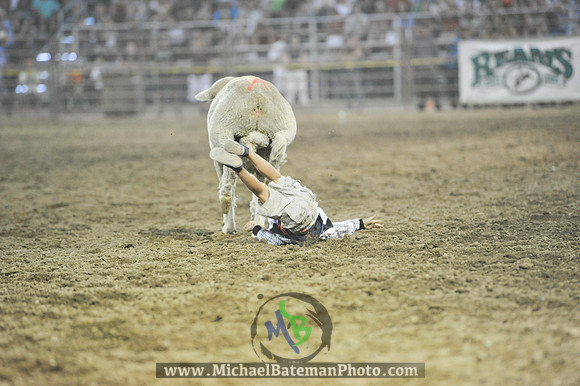 _MAB0403WJStampede_07_04_2012_818_