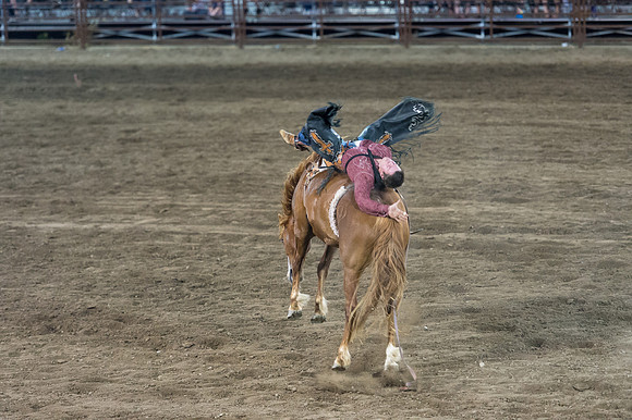 WJ_Stampede_070116-623
