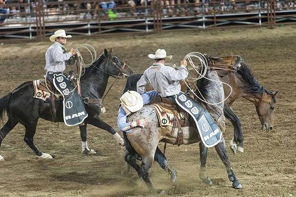 WJ_Stampede_070116-650