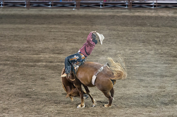 WJ_Stampede_070116-617