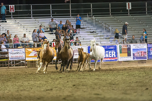 WJ_Stampede_070116-900