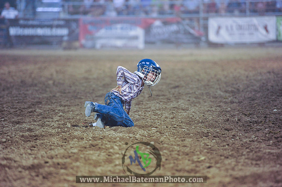 _MAB0316WJStampede_07_04_2012_731_