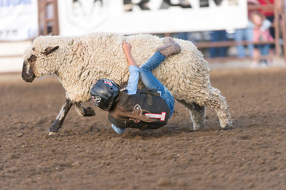 WJ_Stampede_070116-89