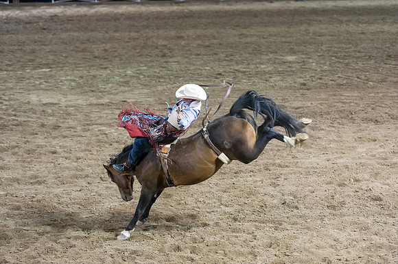 WJ_Stampede_070116-646