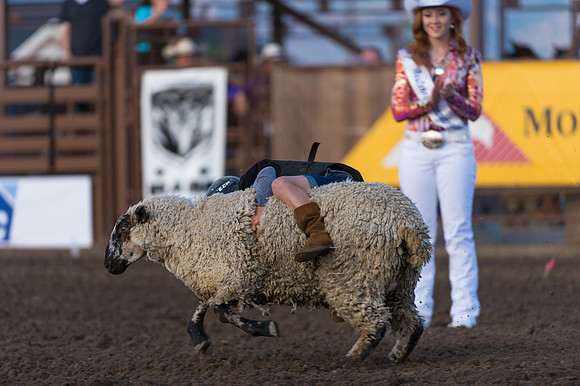 WJ_Stampede_070116-72