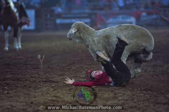 _MAB0322WJStampede_07_04_2012_737_