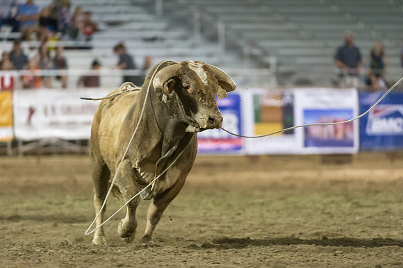 WJ_Stampede_070116-888