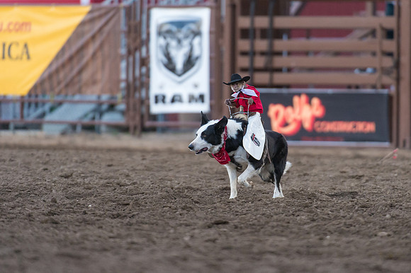 WJ_Stampede_070116-482
