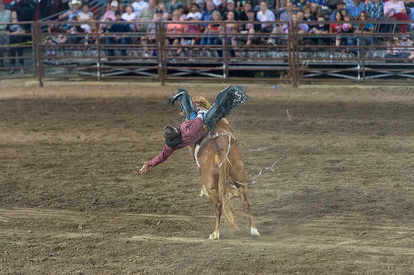 WJ_Stampede_070116-625