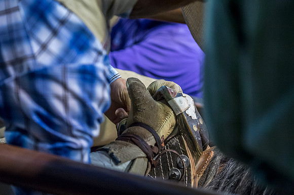 WJ_Stampede_070116-554-2