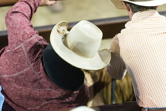 WJ_Stampede_070116-610