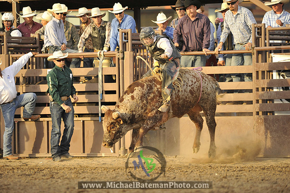 _MAB0025WJStampede_07_04_2012_440_